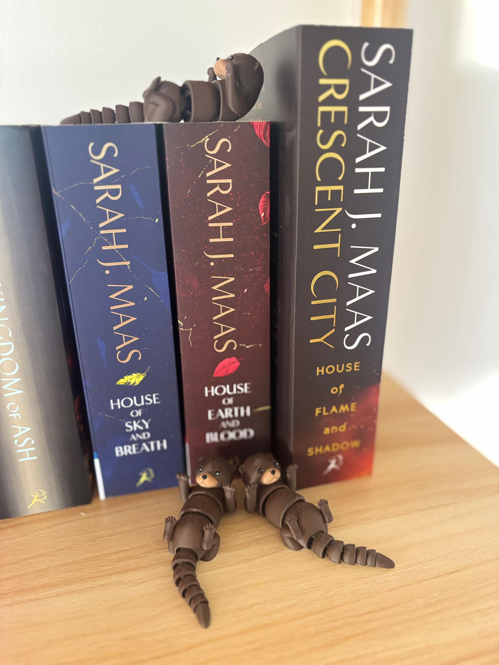 The Guardians of the Shelf Collection
