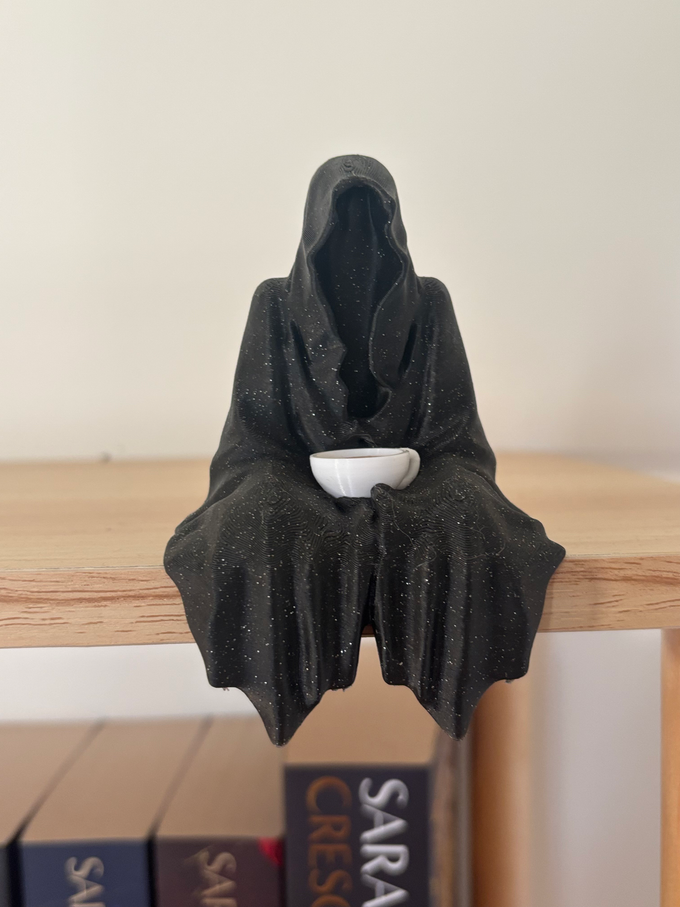 The Guardians of the Shelf Collection
